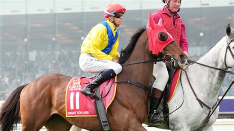 favorites for melbourne cup 2023|Melbourne Cup 2023 latest odds, favourites, scratchings, bets, .